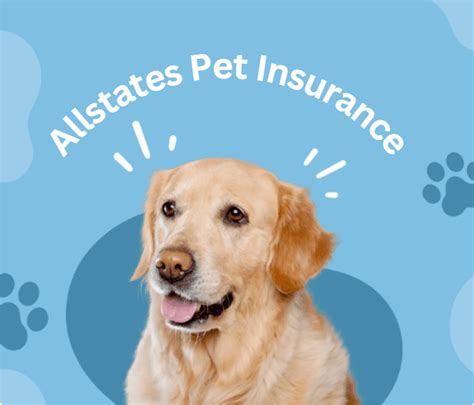 no outta pocket pet insurance.